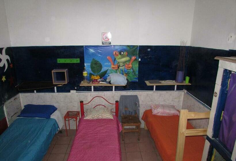 تختخواب در اتاق مشترک, Hospedaje La Rana