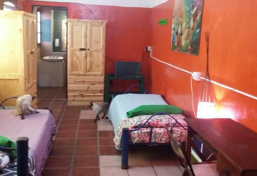 اتاق استاندارد چهارنفره با چشم‌انداز باغ, Hospedaje La Rana