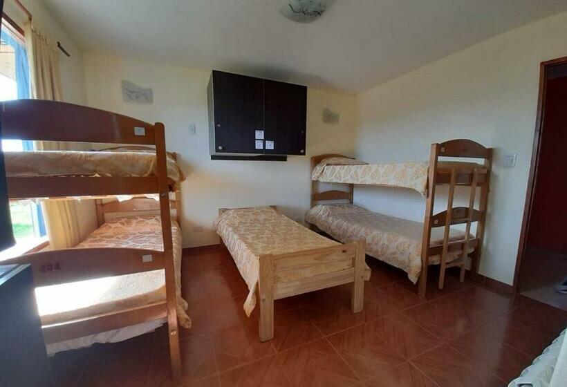 标准单人间, Matices Hostel Terminal