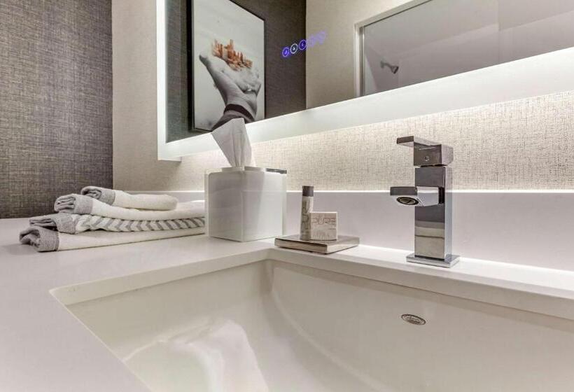 سوئیت با تخت بزرگ, Cambria Hotel Spokane Airport