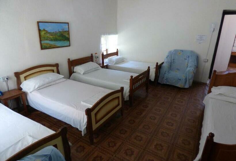 ルームシェアのワンベッド, Guesthouse & Hostel Lorenc