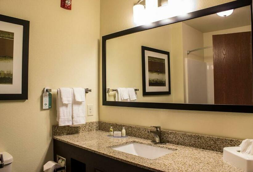 Люкс Deluxe Кровать Кинг, Cobblestone Hotel & Suites   Chippewa Falls