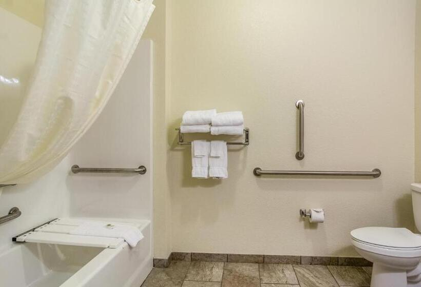 Номер Стандарт Кровать Кинг Адаптированный для Инвалидов, Cobblestone Hotel & Suites   Chippewa Falls
