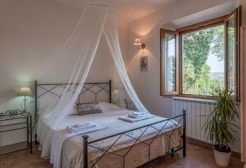スタンダードルーム, Le Tartarughe Rooms