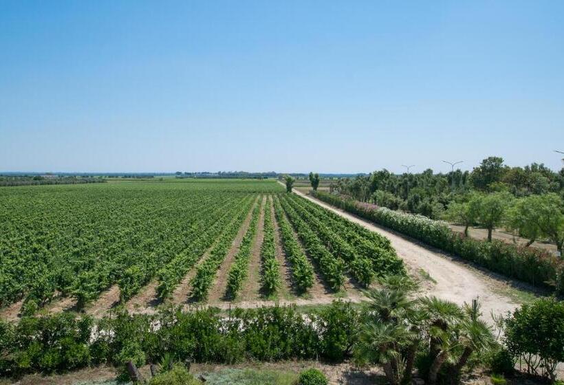 Номер Стандарт Трехместный, Masseria Mazzetta Salento Corte Del Falconiere B&b