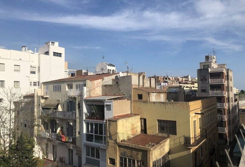 غرفة قياسية فردية, Pigal
