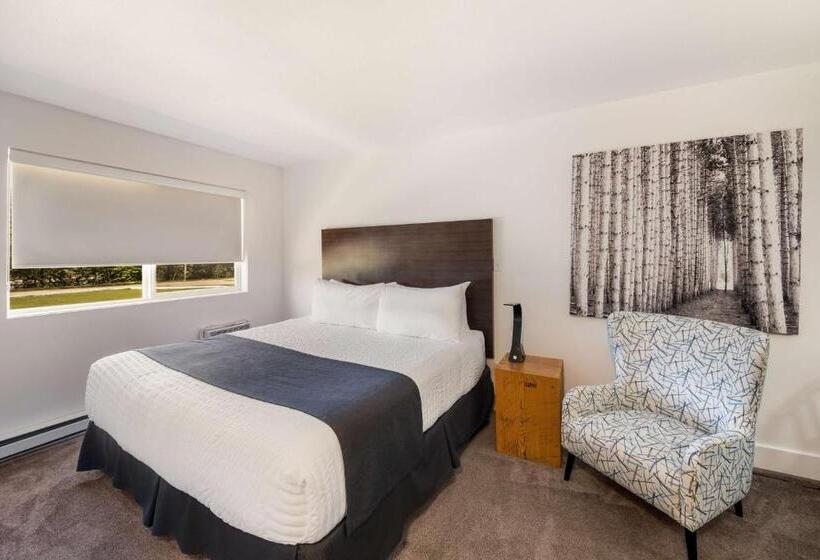 キングサイズベッドのスタンダードルーム, Stoke Hotel Surestay Collection By Best Western