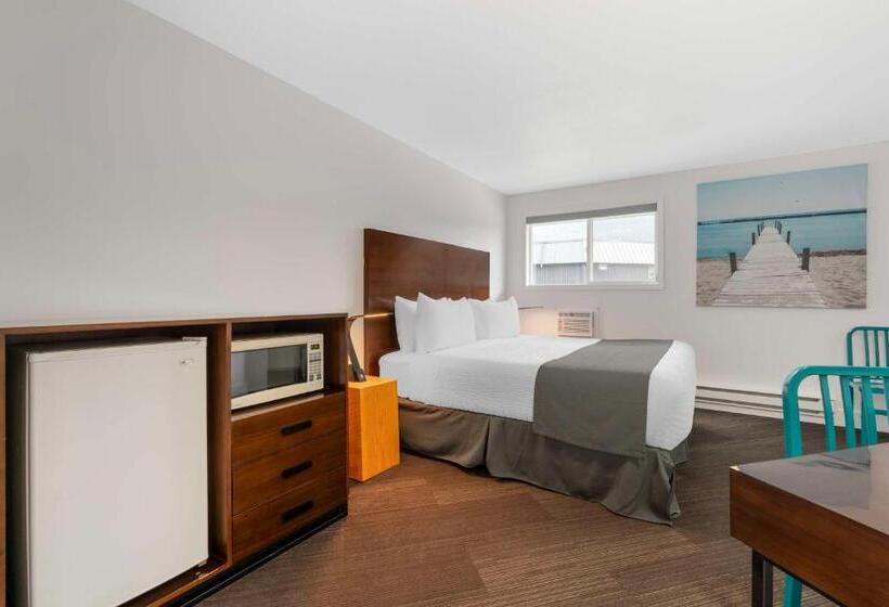 身障者適用キングサイズベッドルーム, Stoke Hotel Surestay Collection By Best Western