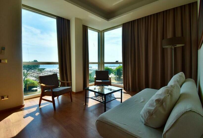 带海景的复工套房, Astor B&b