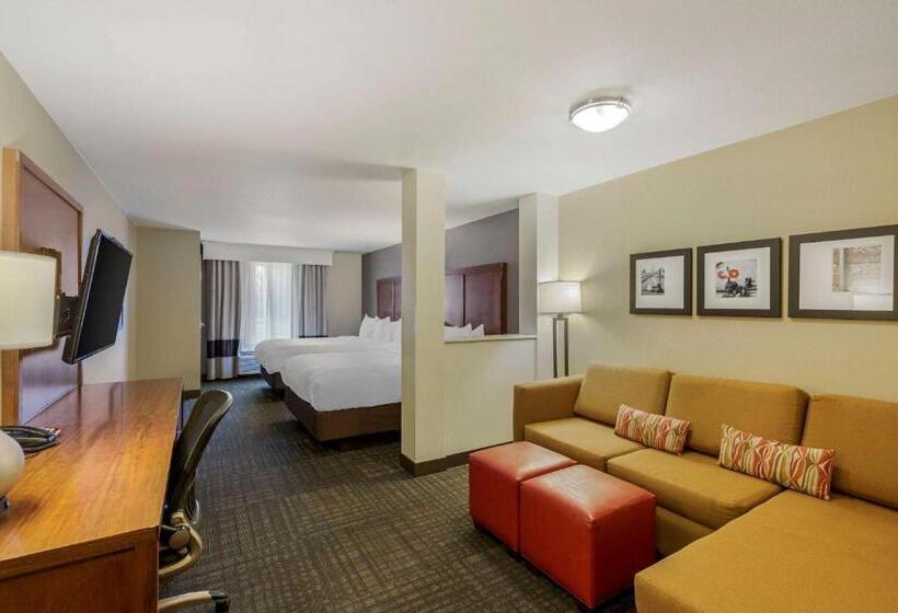 디럭스 스위트, Comfort Suites Loveland