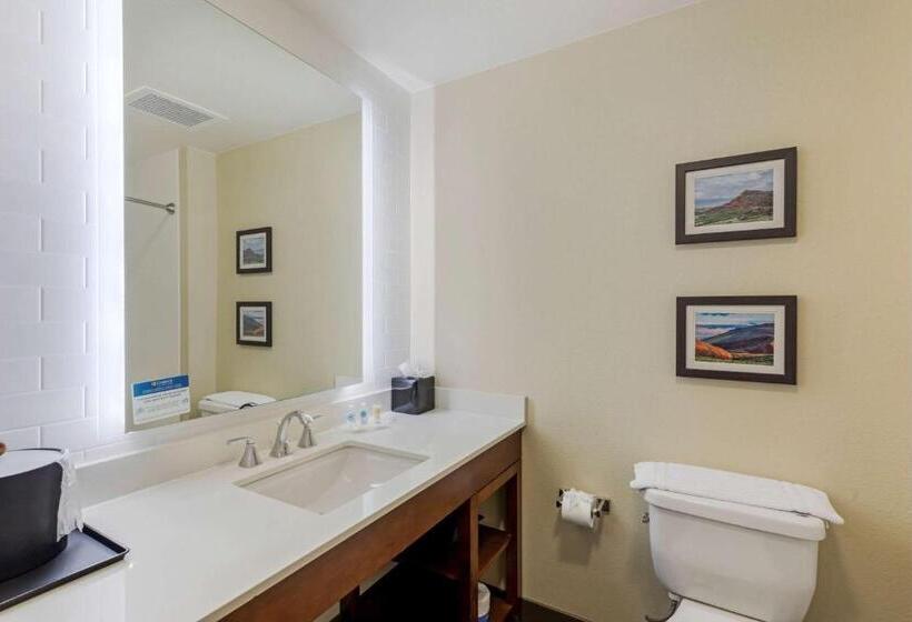 스위트 킹사이즈 침대, Comfort Suites Loveland