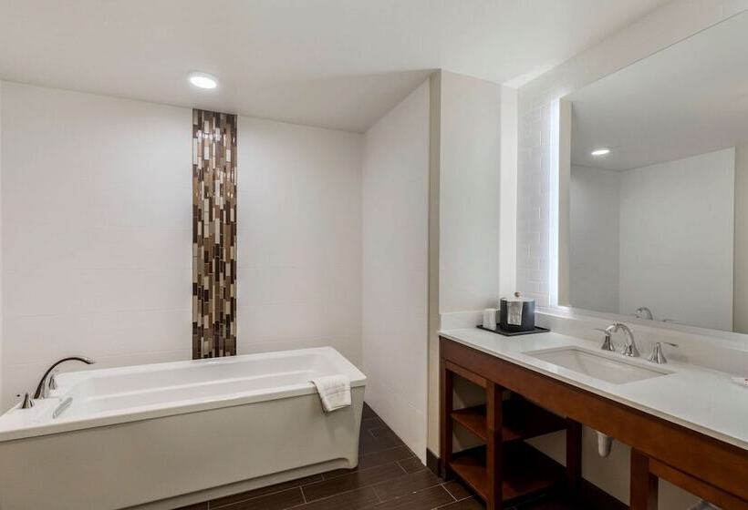 스위트, Comfort Suites Loveland