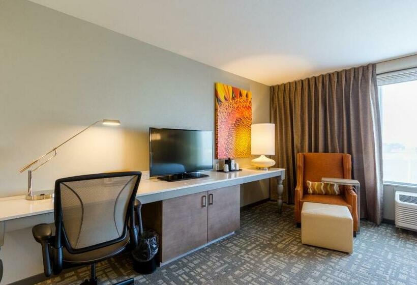 스탠다드 룸 킹사이즈 침대, Hilton Garden Inn Salina