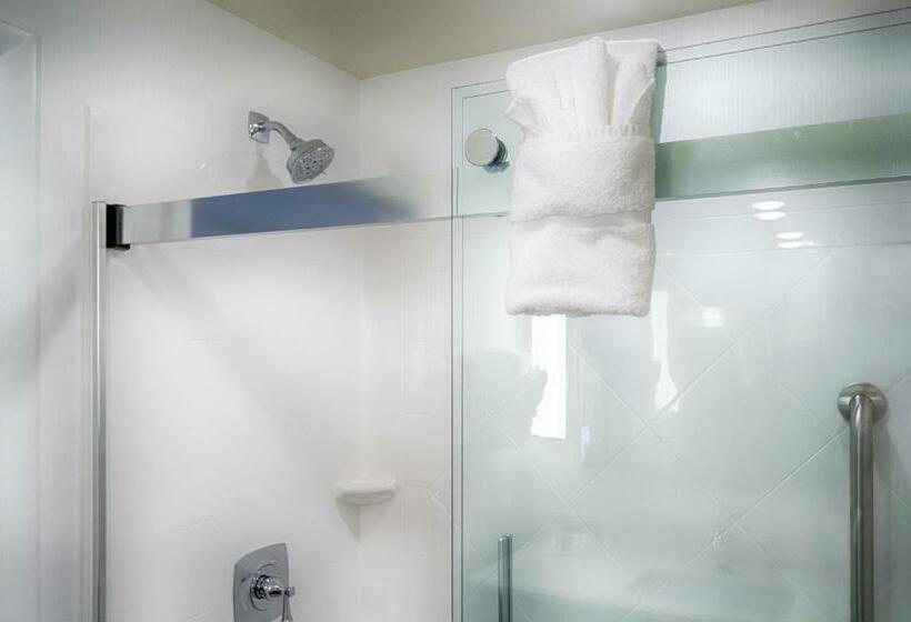 Стандартный Номер Кровать Кинг, Hilton Garden Inn Salina