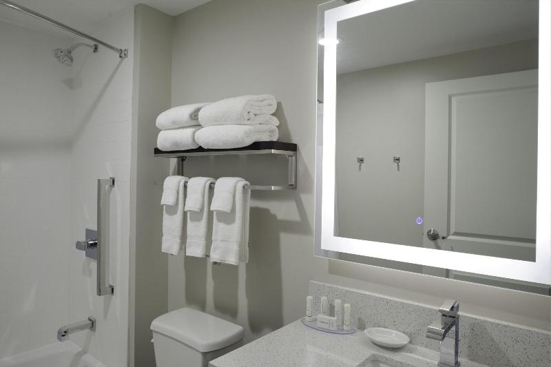 Студио Стандарт Кровать Кинг, Towneplace Suites By Marriottdetroit Canton