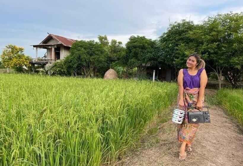 Одноместный Номер Basic, Kratomrimtung Homestay กระท่อมริมทุ่งโฮมสเตย์
