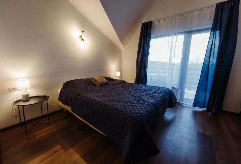 带大床的标准间, Pensiunea Casa Negrea