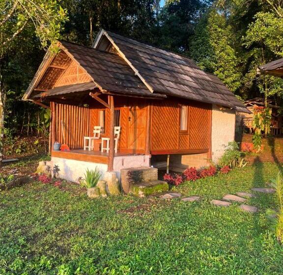 Номер Стандарт, Tetebatu Jungle Vibes
