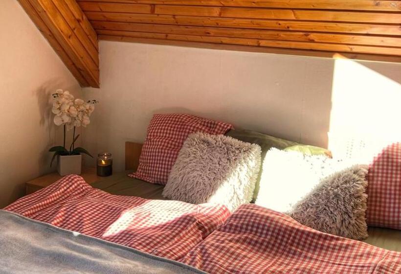 Апартаменты 1 Спальня Нижний Этаж, Apartmány Chata Samoty