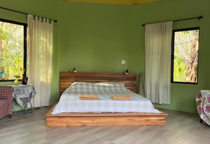 Номер Стандарт с Террасой, Navari Homestay