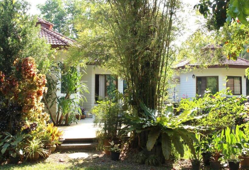 Номер Стандарт с Террасой, Navari Homestay