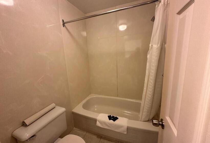 스탠다드 룸, White River Motel