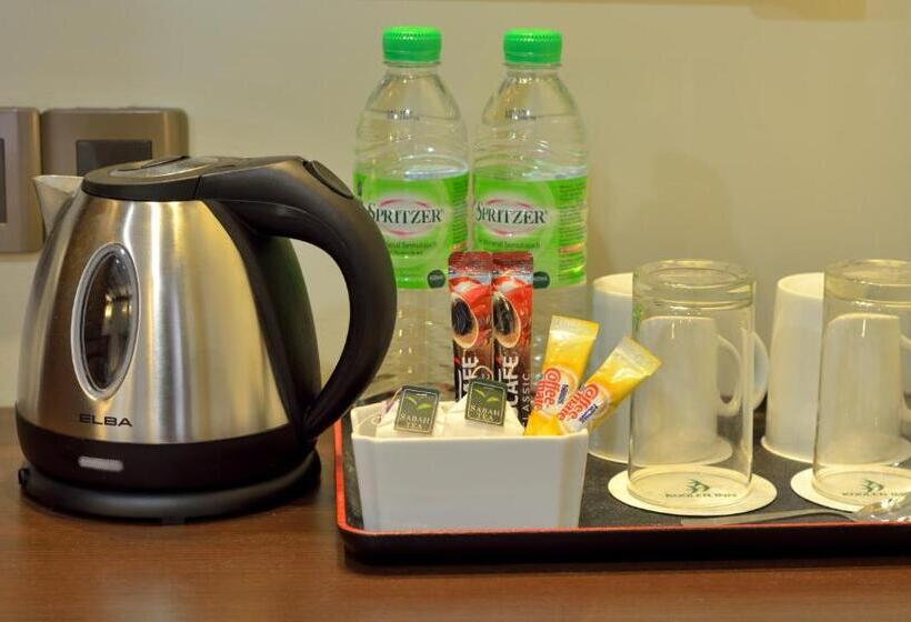 Номер Deluxe, Kooler Inn