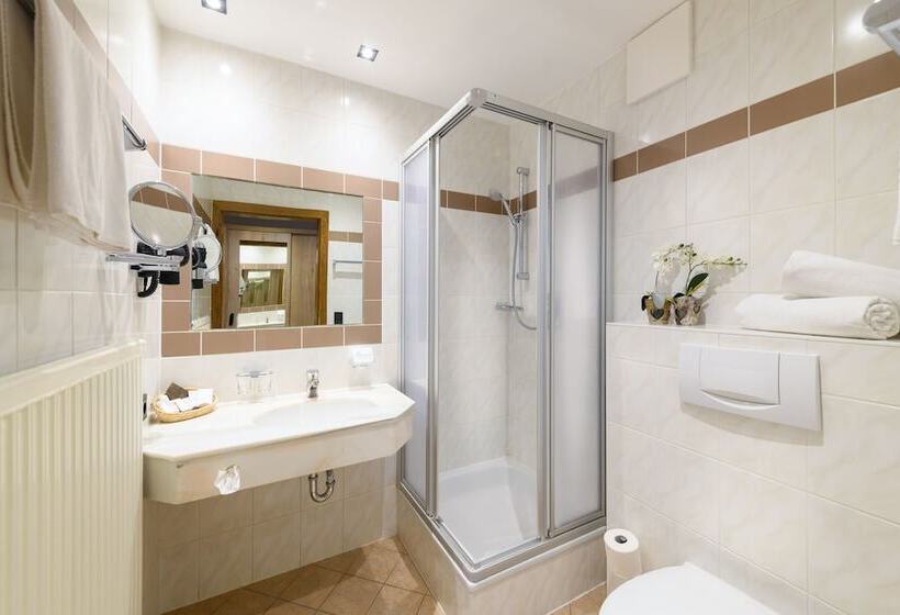 기본룸, B&b Hotel Die Bergquelle