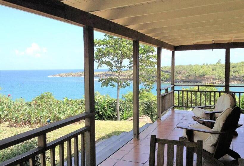 آپارتمان 1 خوابه, Two Bays Beach Villa Apartment And Studios