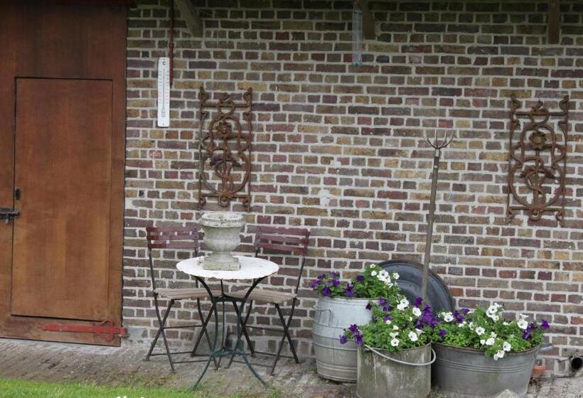 Номер Стандарт, B&b Lomolen