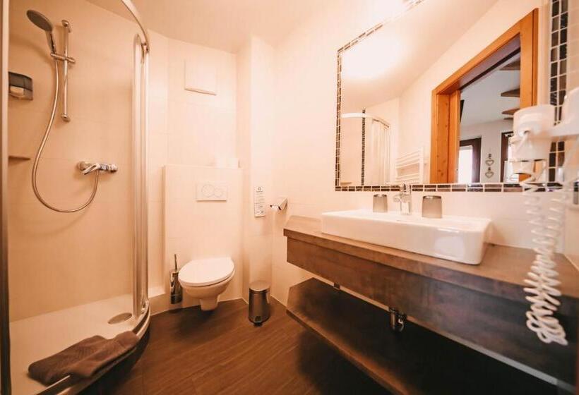 آپارتمان عادی 1 خوابه, Posers Bergwelt B&b