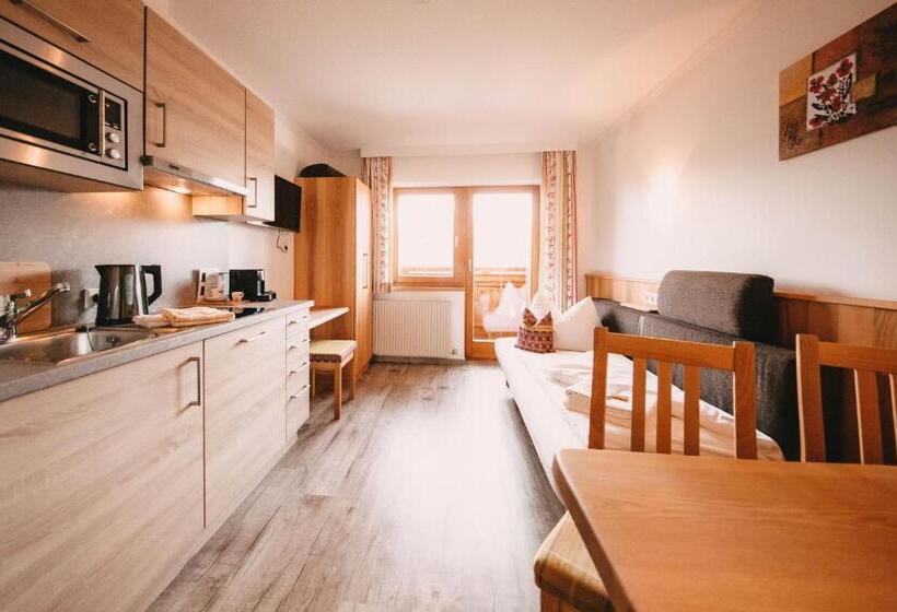 آپارتمان 1 خوابه با بالکن, Posers Bergwelt B&b