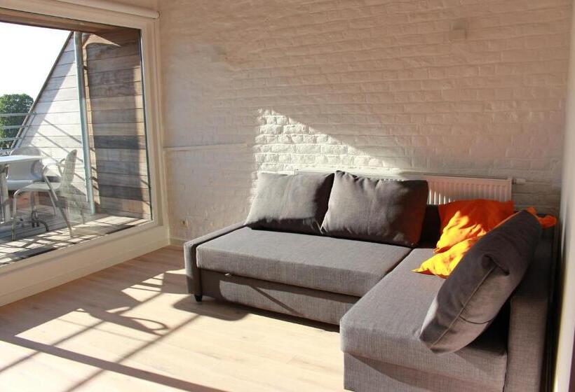 جناح جونيور مزوَّد بتراس, De Loft