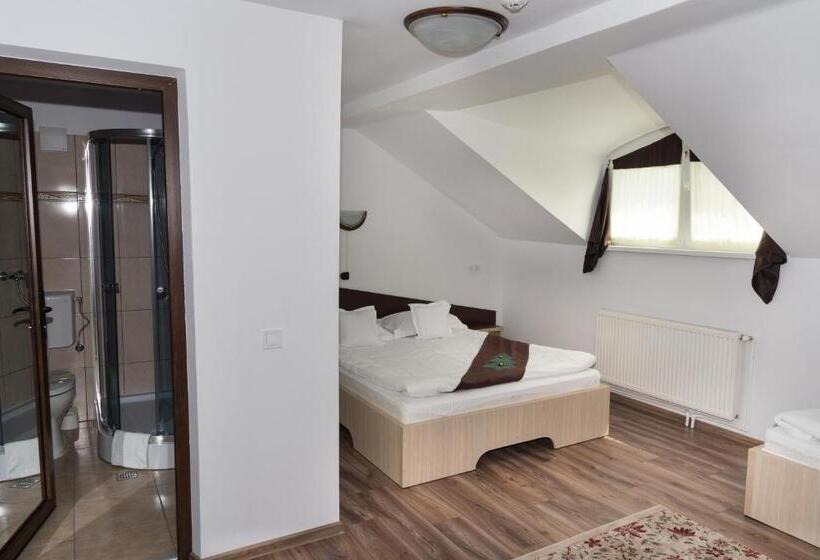 Economy Triple Room, Casa Bradul Voronet