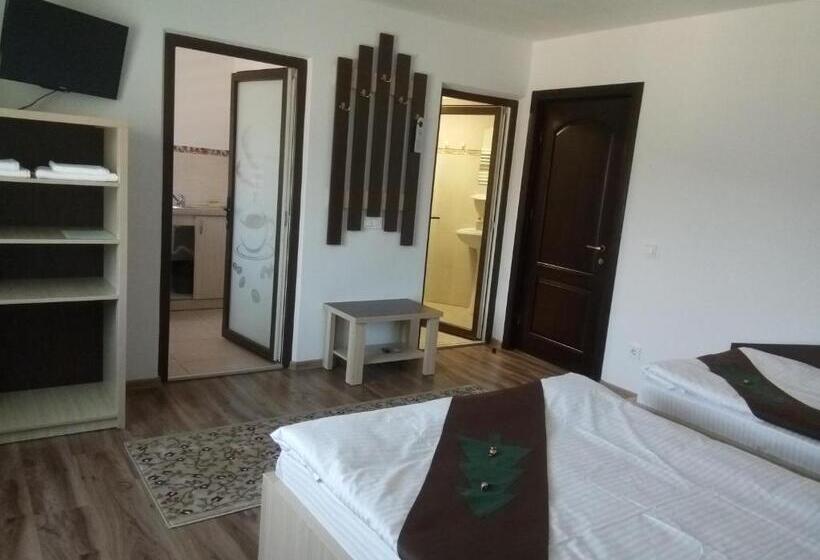 استودیوی استاندارد, Casa Bradul Voronet