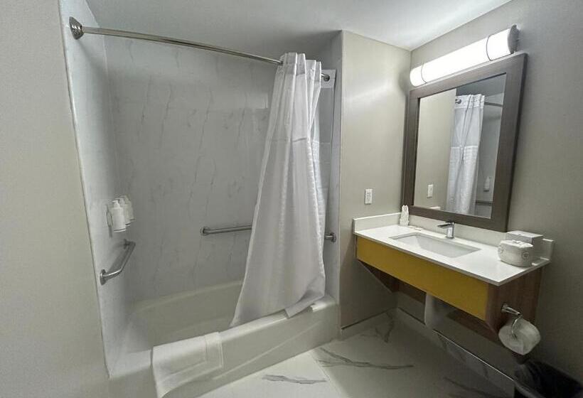 اتاق استاندارد با تخت بزرگ برای معلولان, Days Inn By Wyndham Staten Island