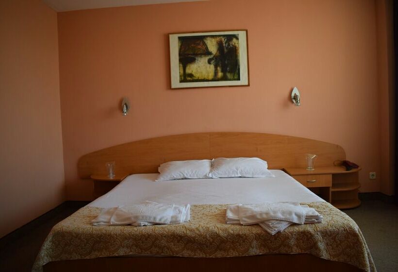 스탠다드 룸, Balneo Hotel Gergana