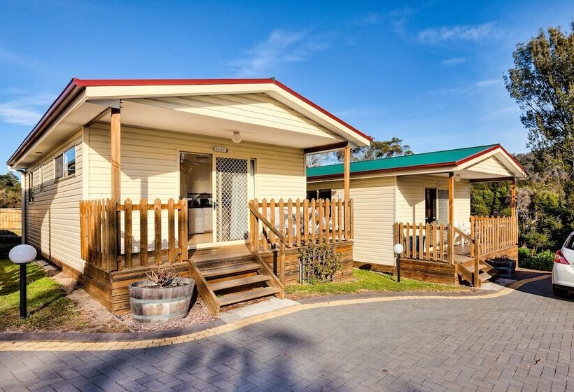 غرفة قياسية, Wintersun Gardens Motel