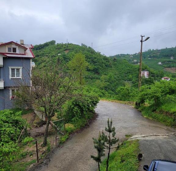Апартаменты 1 Спальня Вид на Море, Meyra Apart