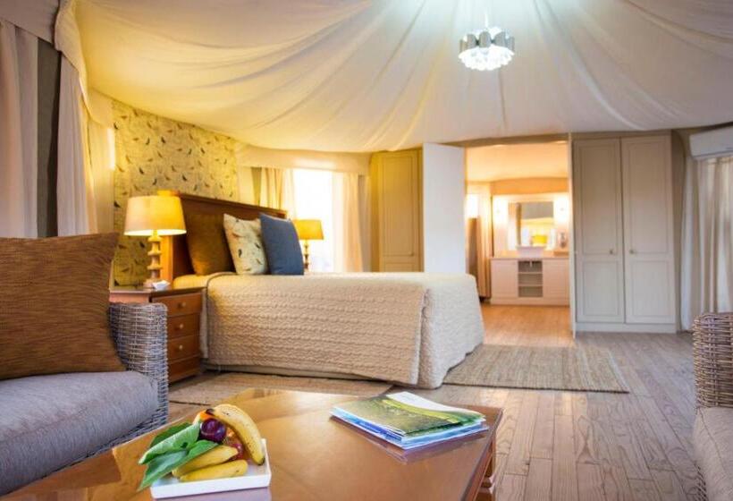 Стандартный Номер Кровать Кинг, Leeuwenhof Country Lodge & Garden Spa