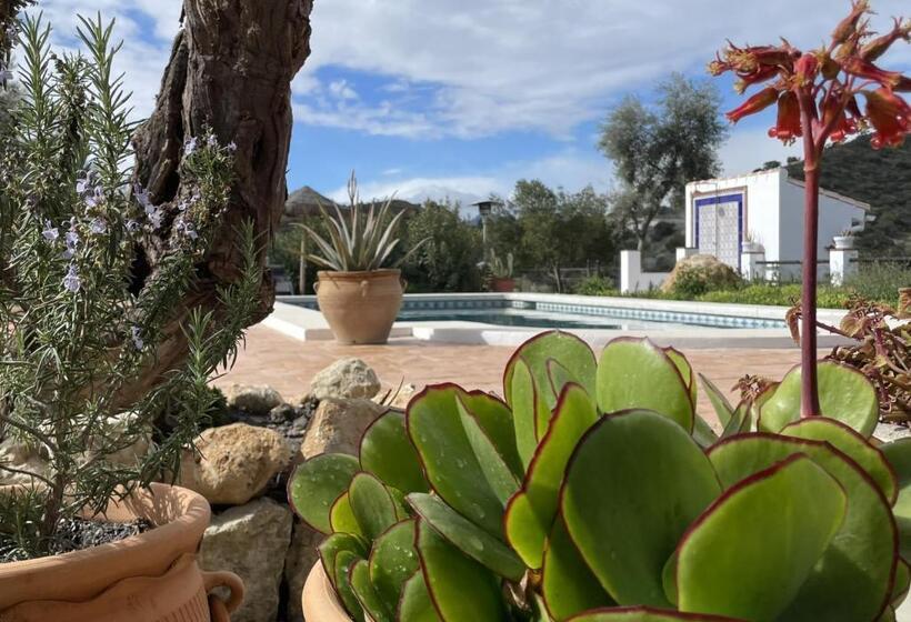 Номер Стандарт, Finca Valle Verde