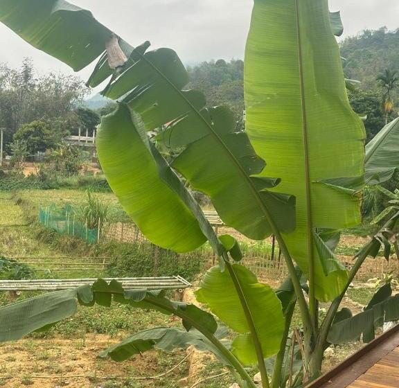 اتاق استاندارد با چشم‌انداز باغ, Peaceful Maichau Homestay