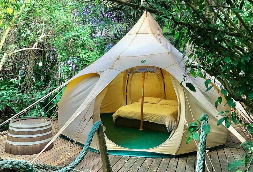 Standard Tent, Mantis And Moon Surf Paradise & Adventure Lodge