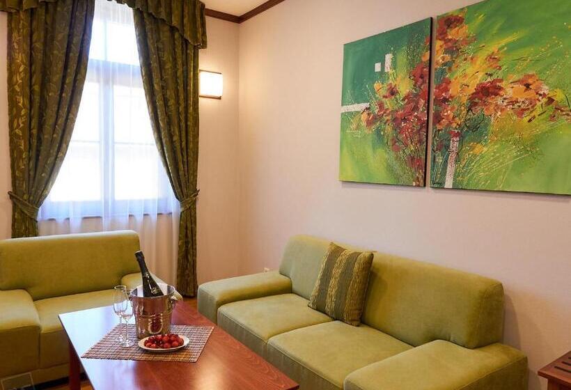 Apartamento 1 Dormitório, Hradná Stráž Hotel&apartments S Privátnym Wellness