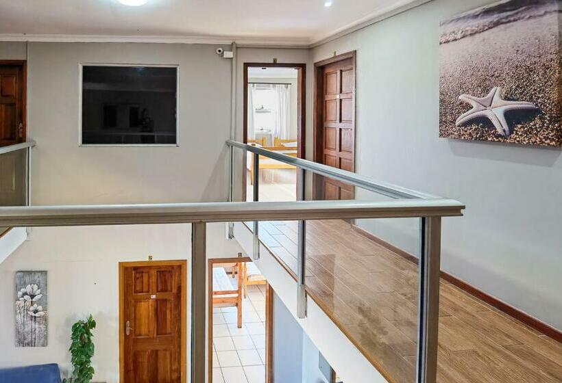 Кровать в Общей Комнате, Ballito Backpackers