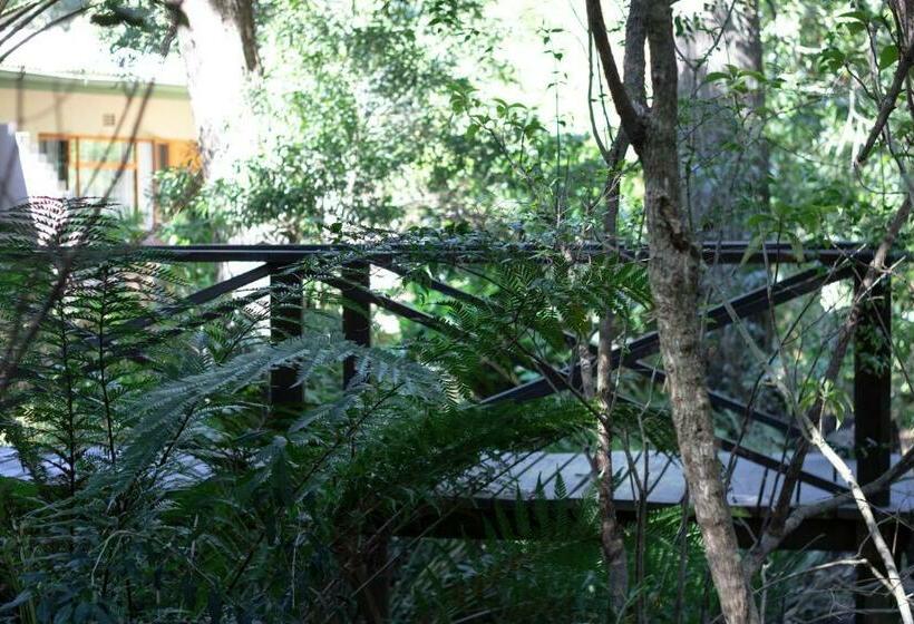Номер Стандарт Вид на Сад, Andelomi Forest Lodge