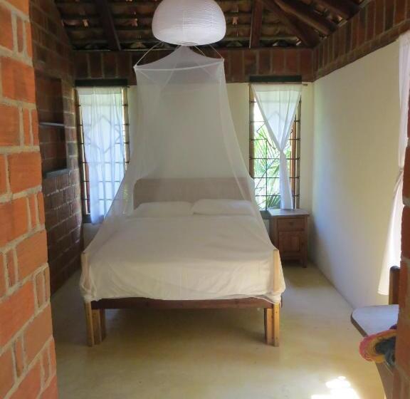 バスルーム共有のシングルスタンダード, La Loma Linda, Bungalows, Yoga And Feldenkrais, Starlink Internet