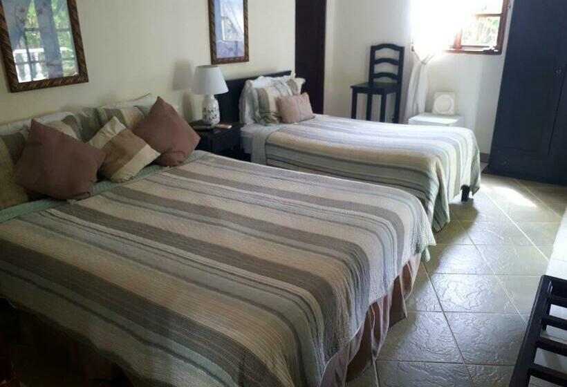 스탠다드 트리플 룸, Hibiscus House Bed And Breakfast