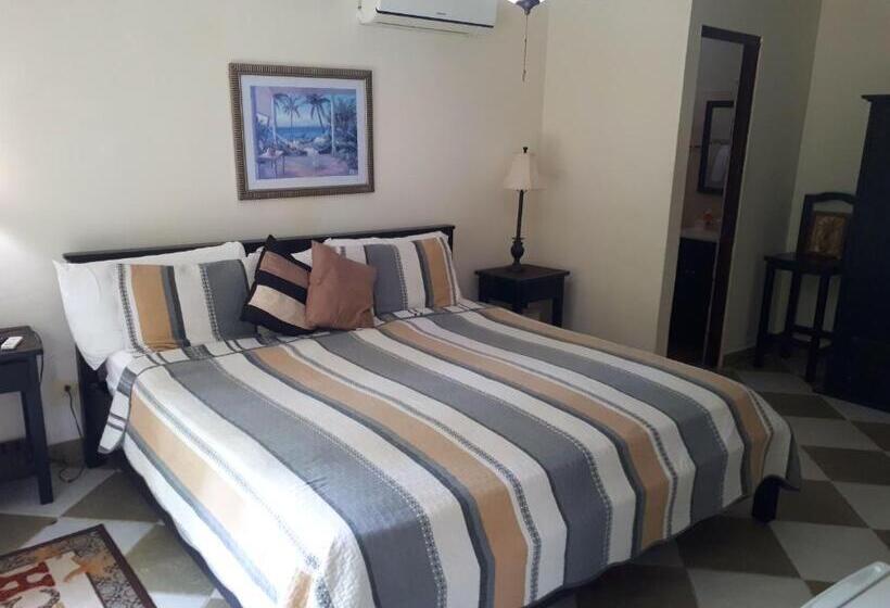 스탠다드 룸 킹사이즈 침대, Hibiscus House Bed And Breakfast
