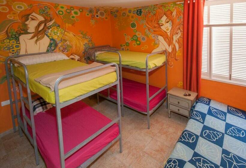 Кровать в Общей Комнате, Hostel Los Duendes Del Sur